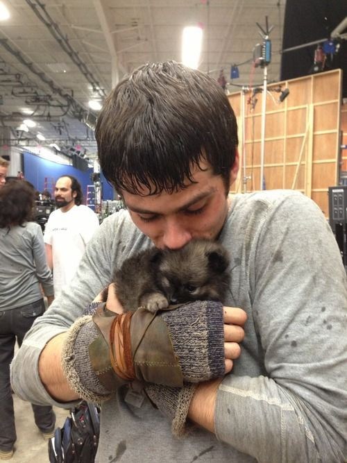 Dylan O’Brien with A Puppy on the Maze Runner Set Behind the Scenes