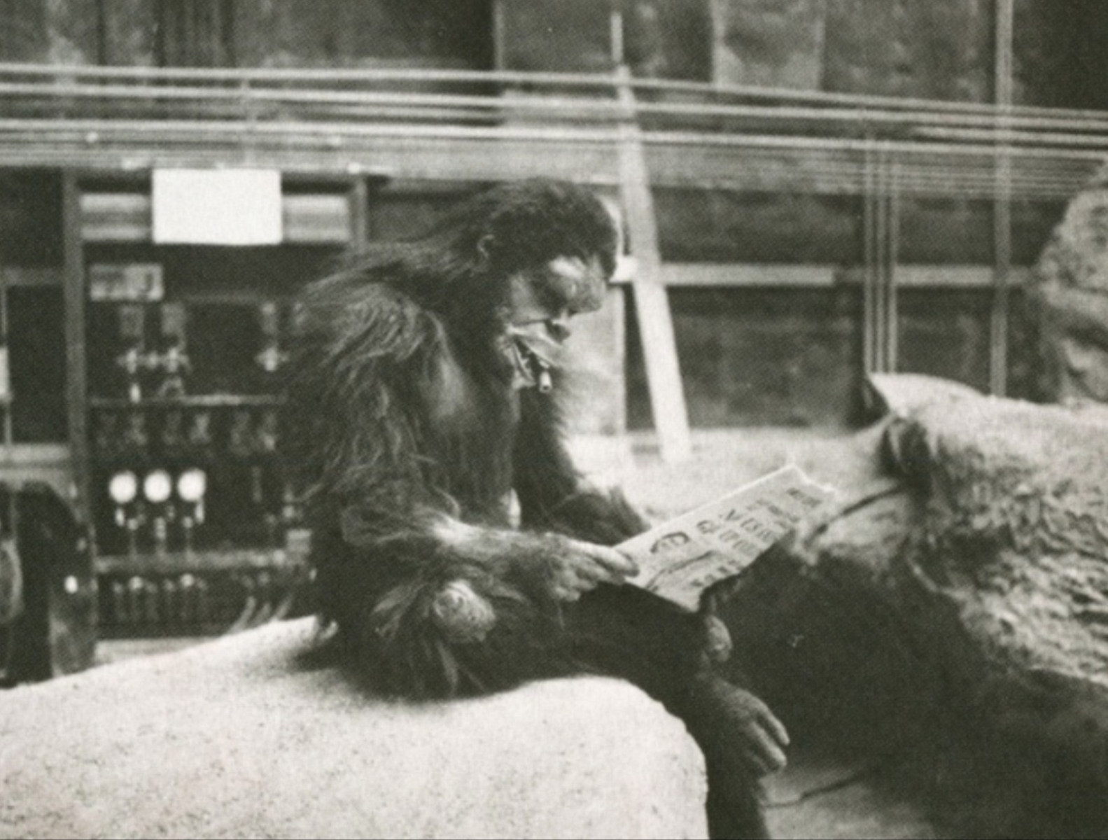 Chief Man Ape on The Set : Daniel Richter Behind the Scenes