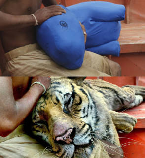Life of Pi (2012) - Behind the Scenes photos