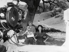 Sophia Loren On The Set